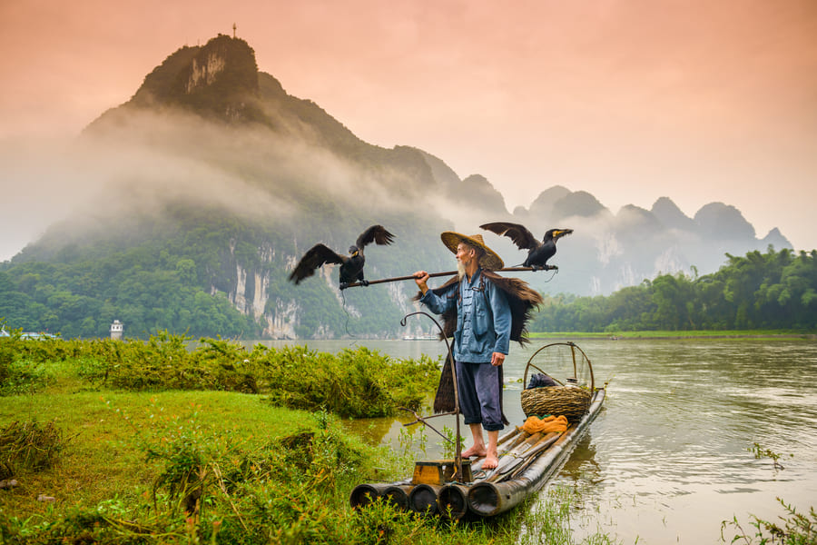 Un pescador de cormoranes anciano, con un sombrero cónico de paja y una capa de lluvia tradicional, se para en su balsa de bambú en el río Li en Yangshuo, China, con dos de sus aves entrenadas encaramadas en su poste de transporte de bambú.